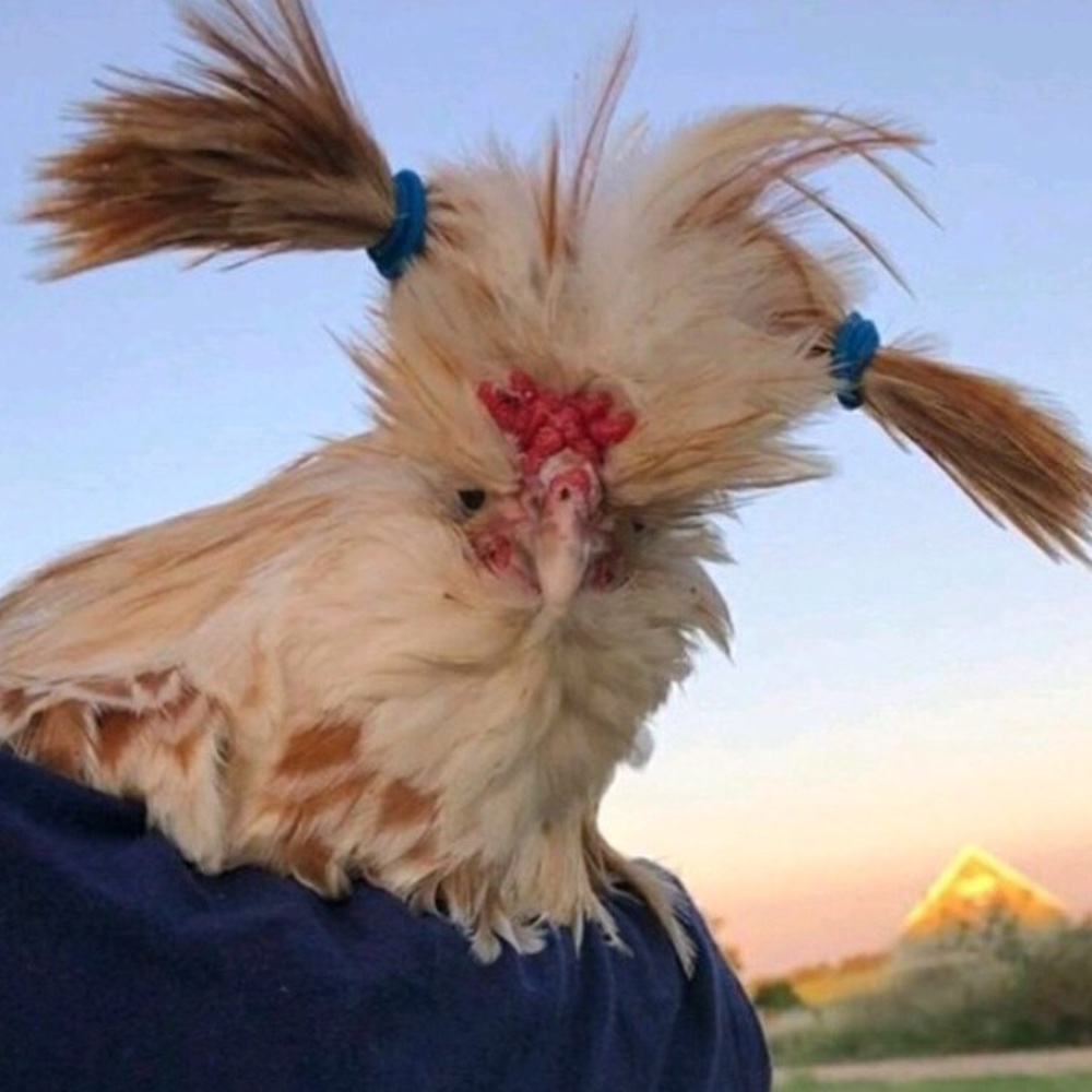 My closet loss your closet gain